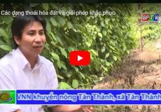 Các dạng thoái hóa đất và giải pháp khắc phục