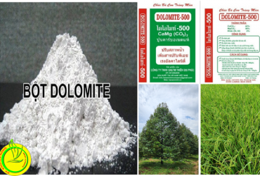 DOLOMITE KHOÁNG CHẤT THIẾT YẾU ĐỐI VỚI CÂY TRỒNG