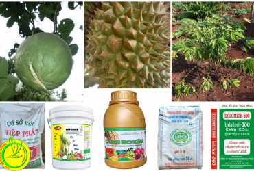 VAI TRÒ CỦA CANXI ĐỐI VỚI SINH TRƯỞNG VÀ PHÁT TRIỂN CỦA CÂY TRỒNG