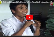 Dịch vụ Nông nghiệp Khuyến nông đồng hành cùng nông dân hội nhập