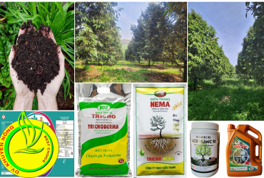 GIẢI PHÁP NÂNG CAO HÀM LƯỢNG MÙN HỮU CƠ TRONG SẢN XUẤT NÔNG NGHIỆP