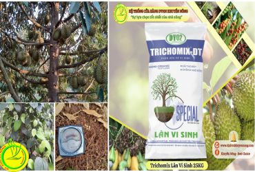 TRICHOMIX LÂN VI SINH VÀ ỨNG DỤNG TRONG CANH TÁC NÔNG NGHIỆP BỀN VỮNG