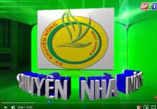 Chăm sóc mít thái siêu sớm giai đoạn kinh doanh